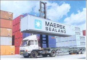 佛山國際貨運代理綜合服務指南 海運、物流、倉儲一體化解決方案